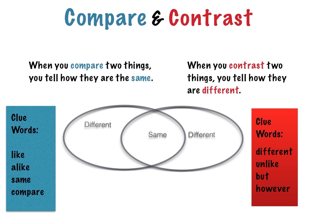 compare and contrast website